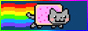 button6